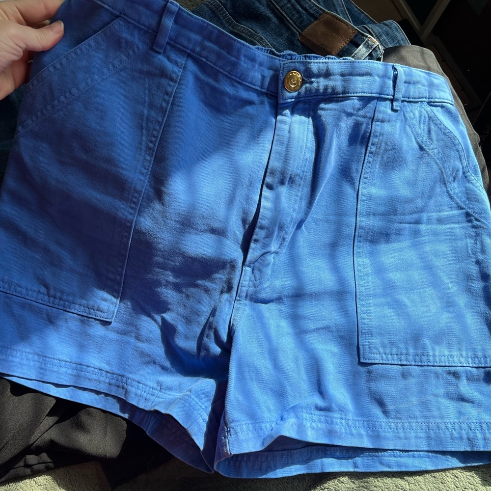Big Bud Press Work Shorts sky blue Size XL